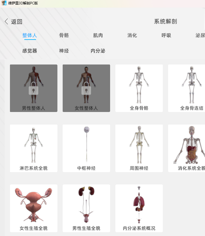维萨里3D解剖