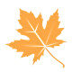 ֮(AutumnBox)