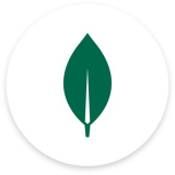 MongoDB Compass