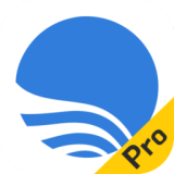Bigemap Pro